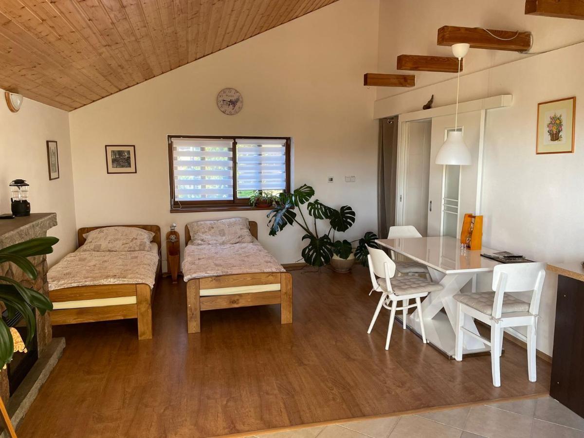 Apartmán v podhůří Jizerských hor Zelezny Brod Exterior foto